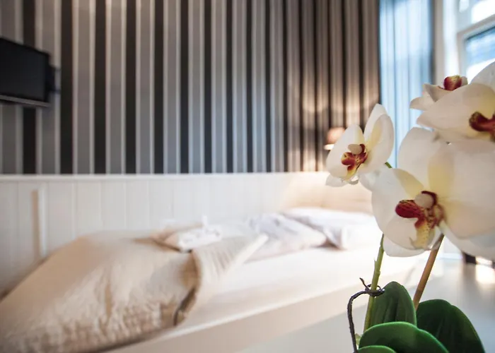 Hotel Urban Boutique